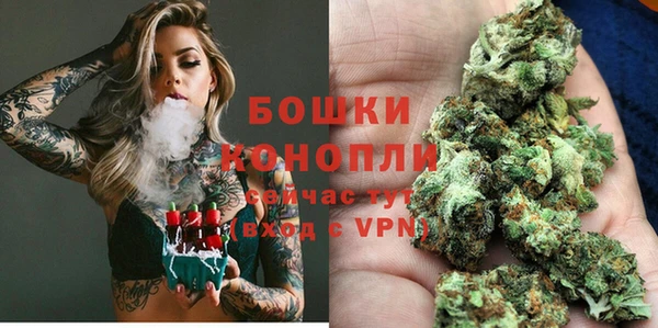 МДПВ Гусиноозёрск