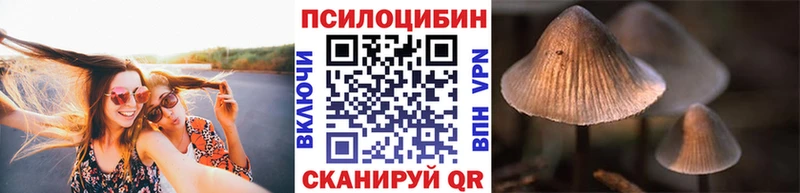 Псилоцибиновые грибы мухоморы  Купить закладки  Алейск 